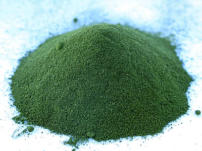 phytoplankton marine phytoplankton nutrigenomic