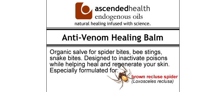 Treatment for Spider Bites